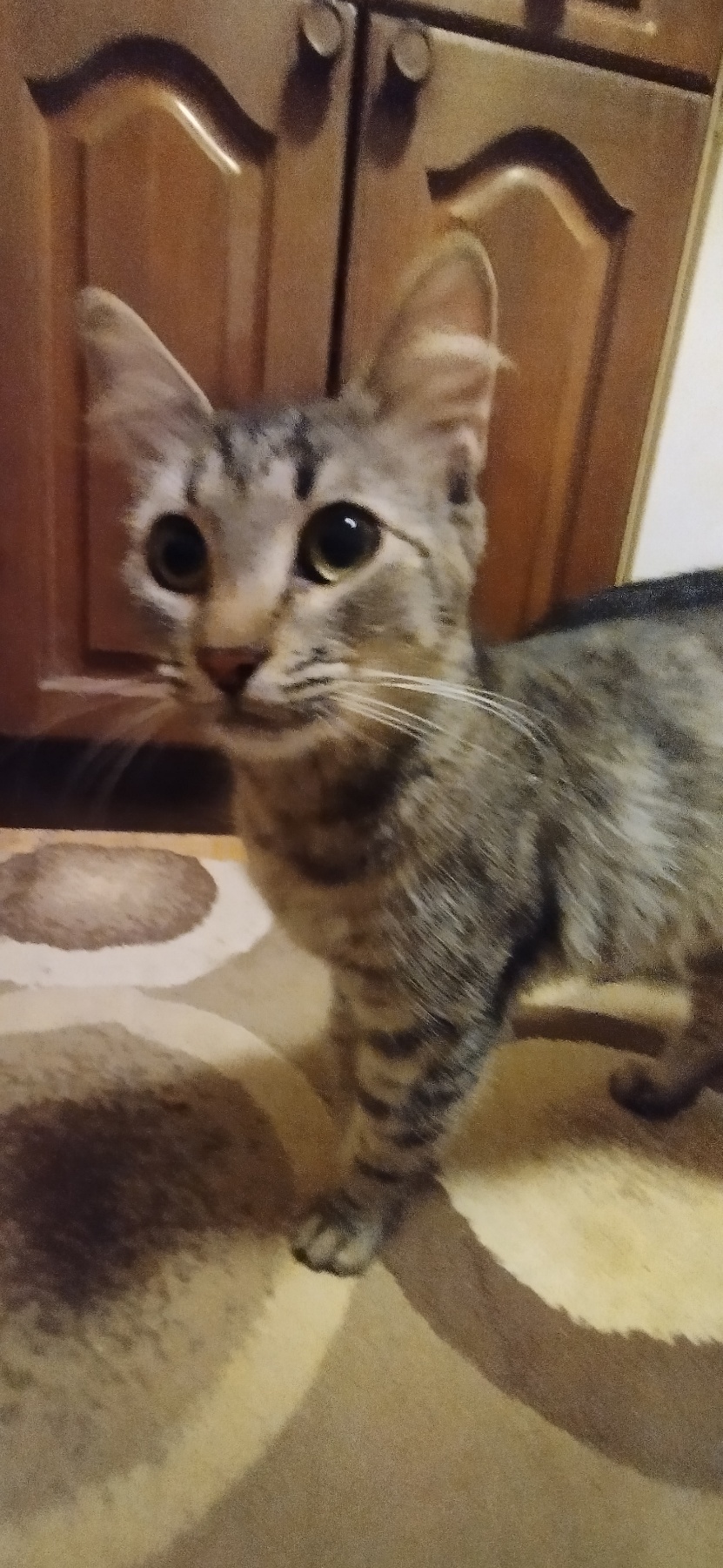 Anja